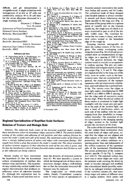 Regional Specialization of Reptilian Scale Surfaces: Relation of Texture and Biologic Role