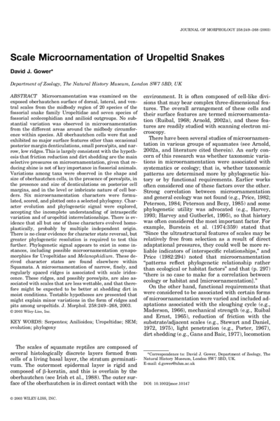Scale microornamentation of uropeltid snakes