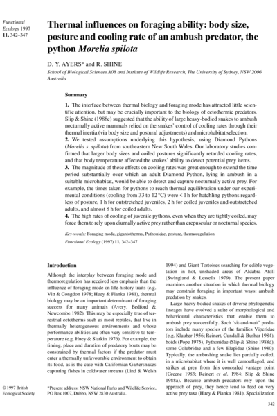 Thermal influences on foraging ability: body size, posture and cooling rate of an ambush predator, the python Morelia spilota