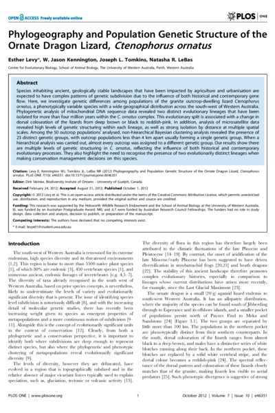 Phylogeography and Population Genetic Structure of the Ornate Dragon Lizard, Ctenophorus ornatus