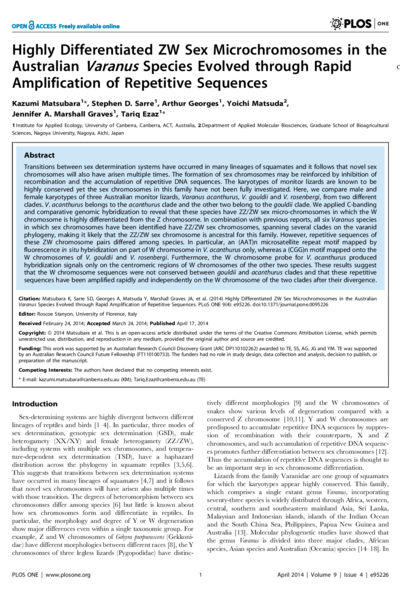 Highly Differentiated ZW Sex Microchromosomes in the Australian Varanus Species Evolved through Rapid Amplification of Repetitive Sequences