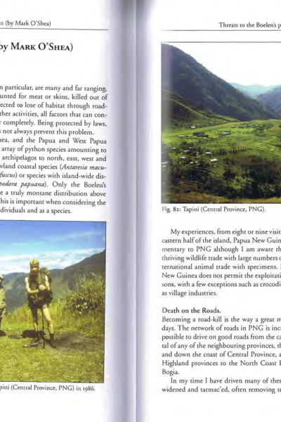 Threats to the Boelen's python