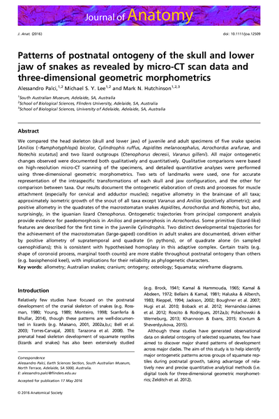 Patterns of postnatal ontogeny of the skull and lower jaw of snakes as revealed by micro‐CT scan data and three‐dimensional geometric morphometrics