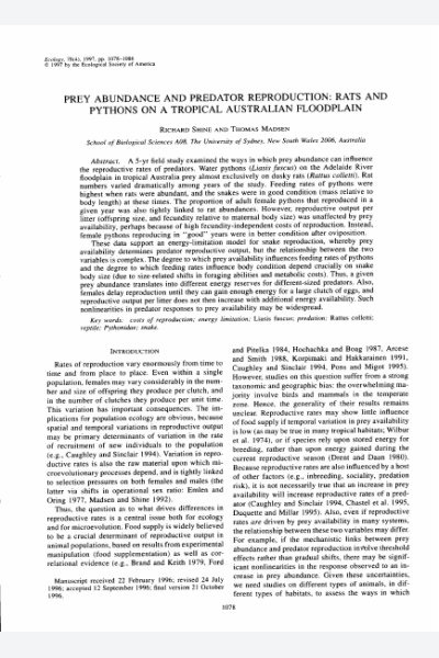 Prey abundance and predator reproduction: rats and pythons on a tropical Australian floodplain