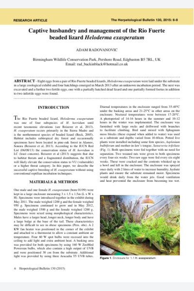 Captive husbandry and management of the Rio Fuerte beaded lizard - Heloderma exasperatum