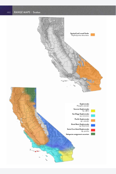 Pituophis Range Map- California