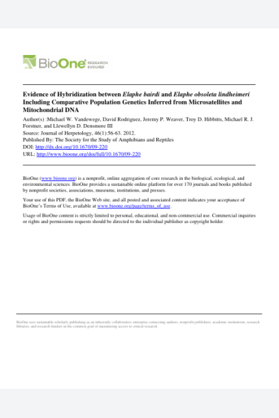 Evidence of Hybridization between Elaphe bairdi and Elaphe obsoleta lindheimeri Including Comparative Population Genetics Inferred from Microsatellites and Mitochondrial DNA