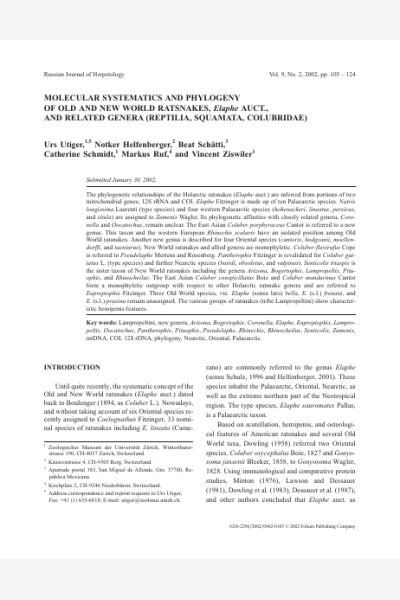 Molecular systematics and phylogeny of Old and New World ratsnakes, Elaphe Auct., and related genera (Reptilia, Squamata, Colubridae)
