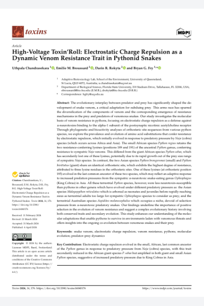 High-Voltage Toxin’Roll: Electrostatic Charge Repulsion as a Dynamic Venom Resistance Trait in Pythonid Snakes