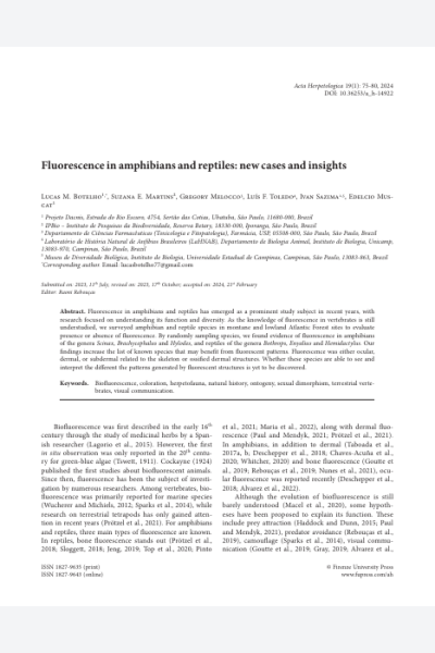 Fluorescence in amphibians and reptiles: new cases and insights