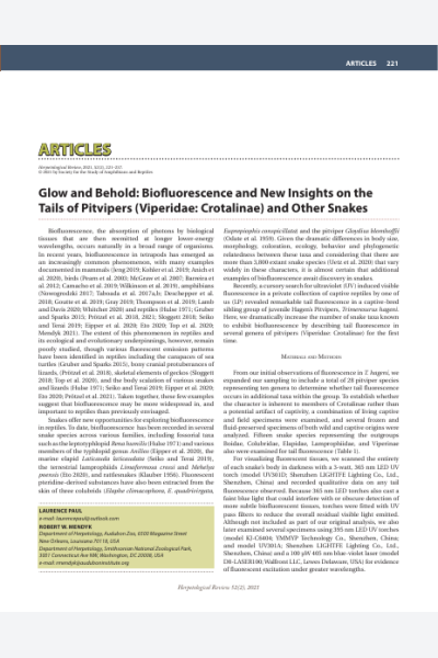 Glow and behold: Biofluorescence and new insights on the tails of pitvipers (Viperidae: Crotalinae) and other snakes