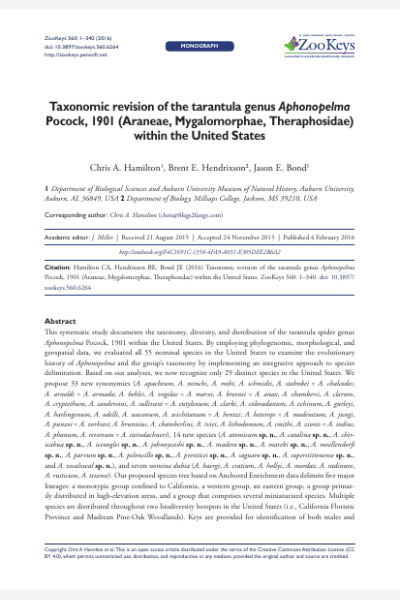 Taxonomic revision of the tarantula genus Aphonopelma Pocock, 1901 (Araneae, Mygalomorphae, Theraphosidae) within the United States