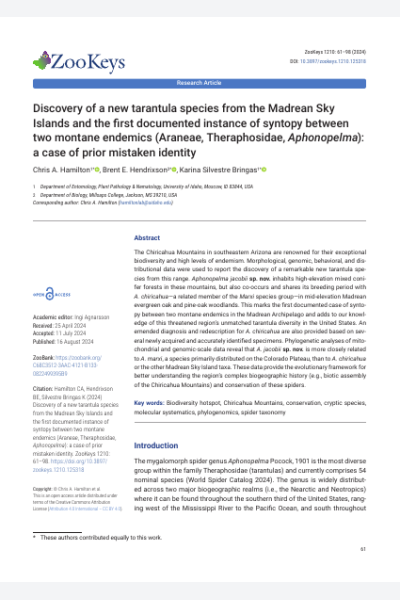 Discovery of a new tarantula species from the Madrean Sky Islands and the first documented instance of syntopy between two montane endemics (Araneae, Theraphosidae, Aphonopelma): a case of prior mistaken identity