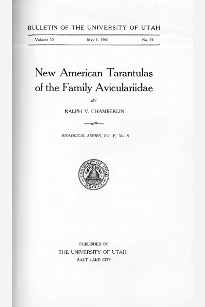 New American Tarantulas of the Family Aviculariidae