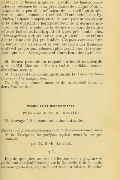 Essai sur la faune herpétologique de la Nouvelle-Guinee, suivi de la description de quelques espèces nouvelles ou peu connues
