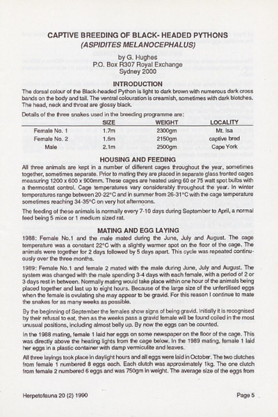 Captive Breeding of Black-headed Pythons (Aspidites melanocephalus)