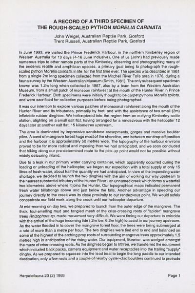 A record of a third specimen of the rough-scaled python Morelia carinata