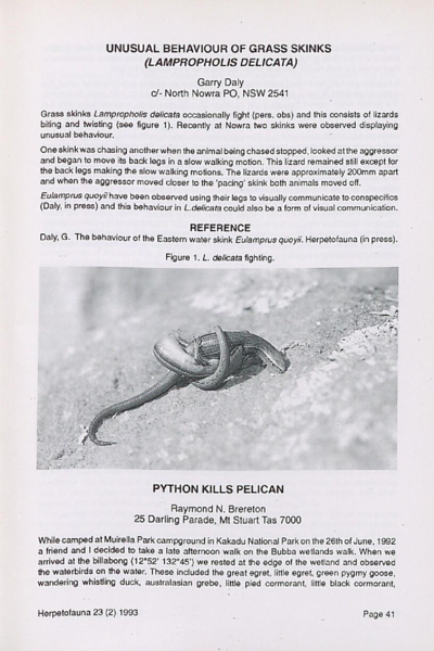 Python kills pelican