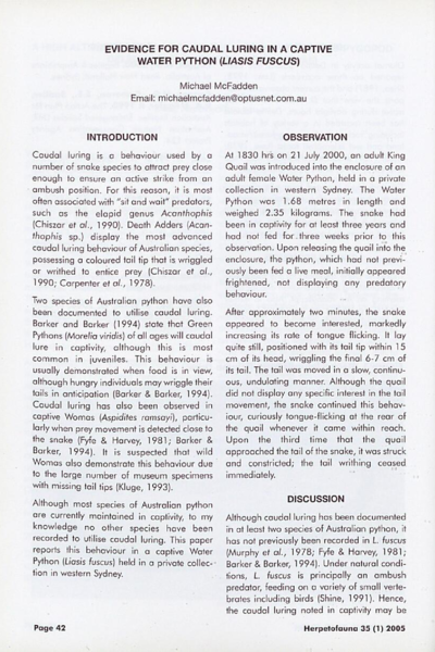 Evidence for caudal luring in a captive Water Python (Liasis fuscus)