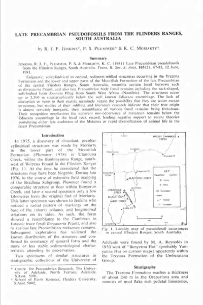 Late Precambrian Pseudofossils from the Flinders Ranges South Australia.