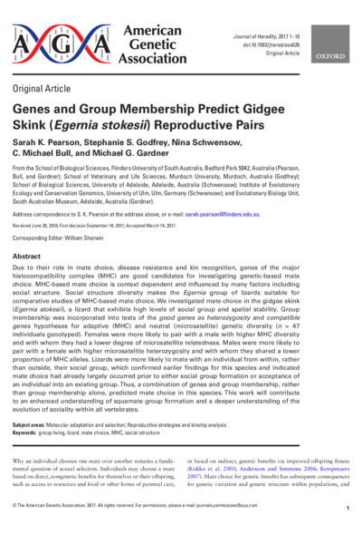 Genes and Group Membership Predict Gidgee Skink (Egernia stokesii) Reproductive Pairs