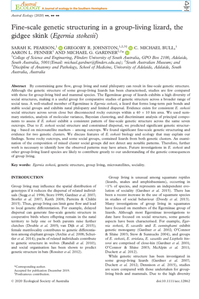 Fine‐scale genetic structuring in a group‐living lizard, the gidgee skink (Egernia stokesii)