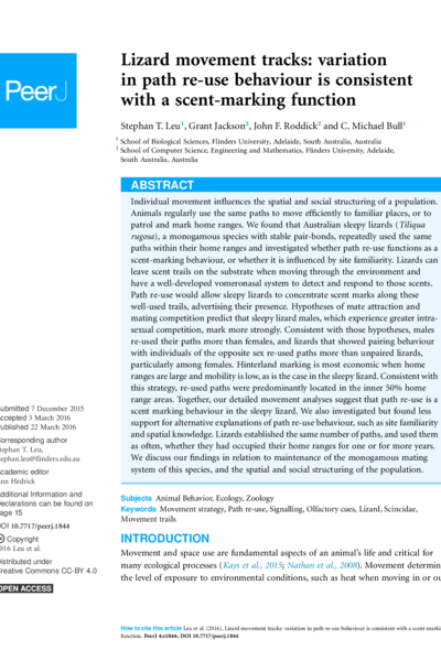 Lizard movement tracks: variation in path re-use behaviour is consistent with a scent-marking function
