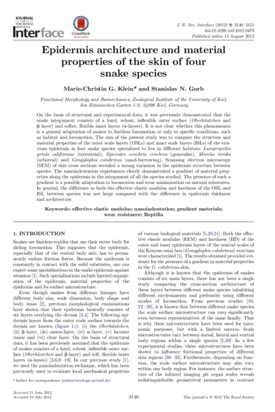 Epidermis architecture and material properties of the skin of four snake species