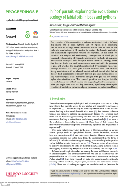 In ‘hot’ pursuit: exploring the evolutionary ecology of labial pits in boas and pythons