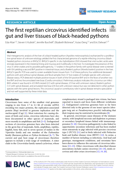 The first reptilian circovirus identified infects gut and liver tissues of black-headed pythons
