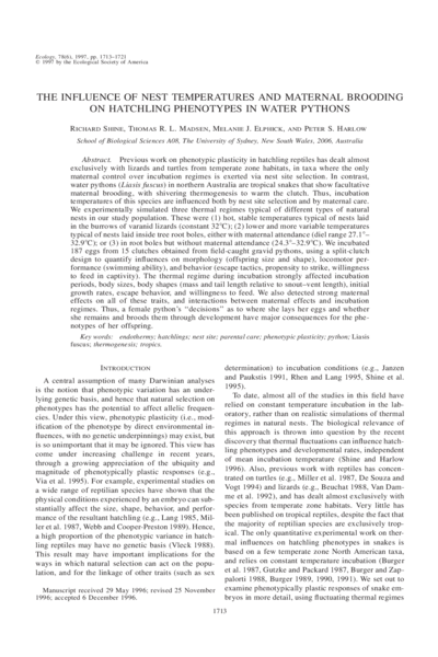 The influence of nest temperatures and maternal brooding on hatchling phenotypes in water pythons