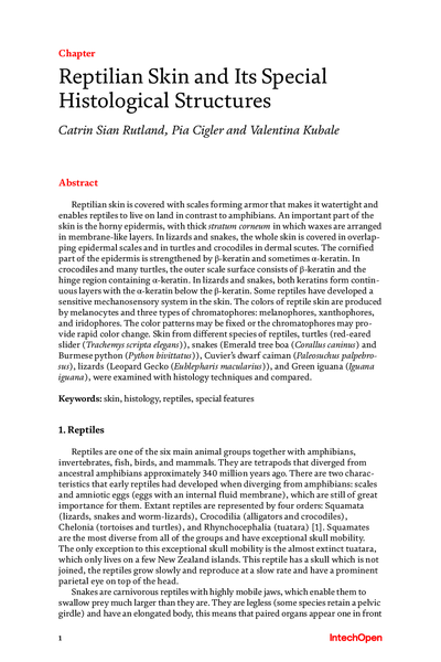 Reptilian Skin and Its Special Histological Structures
