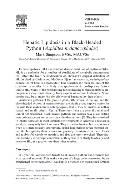 Hepatic Lipidosis in a Black-Headed Python (Aspidites melanocephalus)