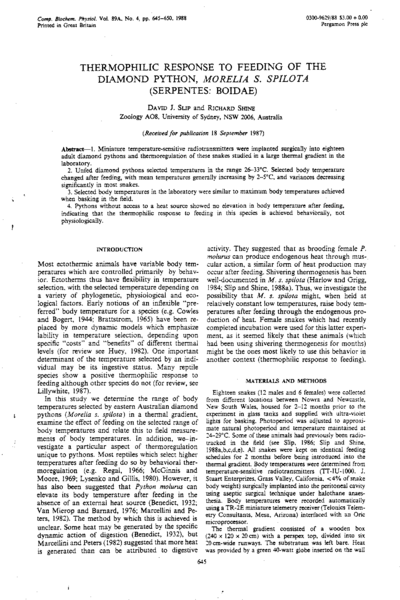 Thermophilic response to feeding of the diamond python, Morelia s. spilota (Serpentes: Boidae)