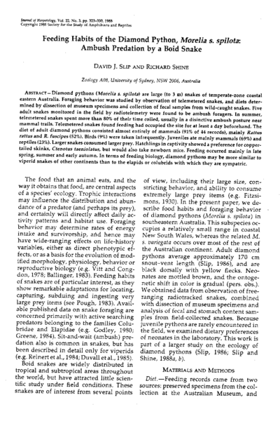 Feeding Habits of the Diamond Python, Morelia s. spilota: Ambush Predation by a Boid Snake