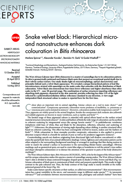 Snake velvet black: Hierarchical micro- and nanostructure enhances dark colouration in Bitis rhinoceros