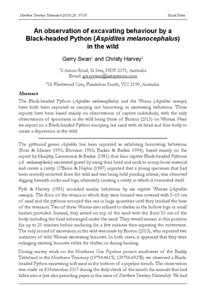 An observation of excavating behaviour by a Black-headed Python (Aspidites melanocephalus) in the wild