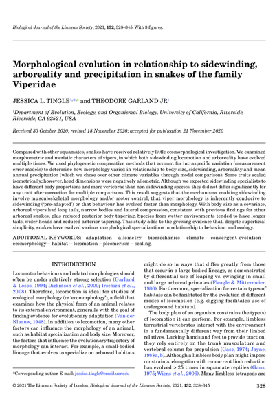 Morphological evolution in relationship to sidewinding, arboreality and precipitation in snakes of the family Viperidae