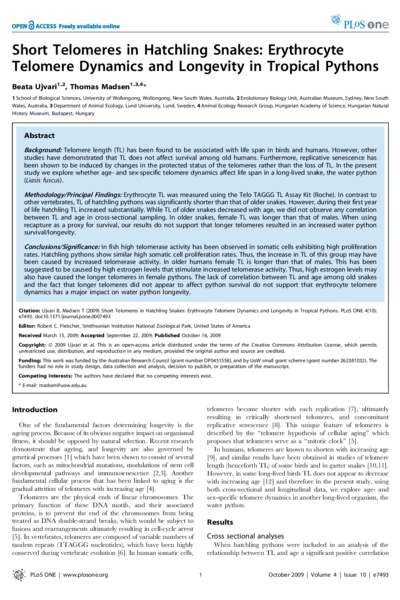 Short Telomeres in Hatchling Snakes: Erythrocyte Telomere Dynamics and Longevity in Tropical Pythons
