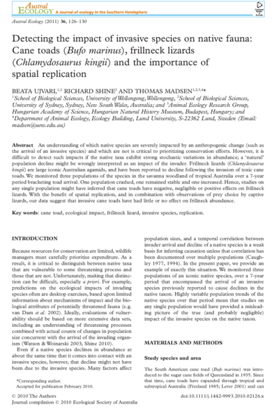 Detecting the impact of invasive species on native fauna: Cane toads (Bufo marinus), frillneck lizards (Chlamydosaurus kingii) and the importance of spatial replication