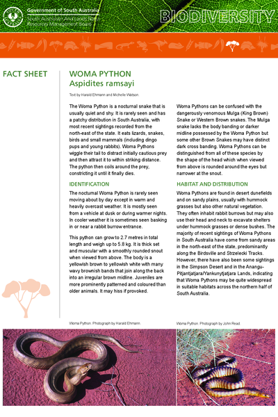 Woma python- Aspidites ramsayi